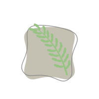 Aesthetic Leaf Organic Blobs Shape png