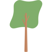 piatto albero stile estetico collezione impostato png