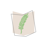 forme de gouttes organiques de feuilles esthétiques png