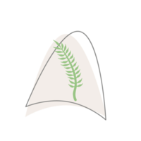 forme de gouttes organiques de feuilles esthétiques png