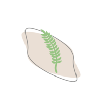 Aesthetic Leaf Organic Blobs Shape png