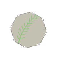 Aesthetic Leaf Organic Blobs Shape png