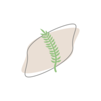 forma de manchas orgánicas de hojas estéticas png