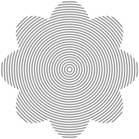 estetico centro classico linea di base forma png