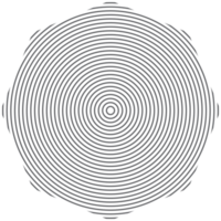 estetico centro classico linea di base forma png