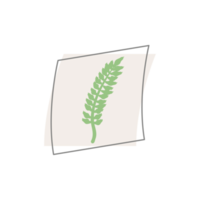 forme de gouttes organiques de feuilles esthétiques png