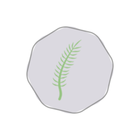 Aesthetic Leaf Organic Blobs Shape png