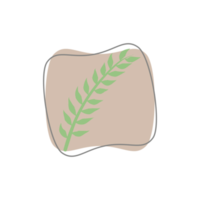 Aesthetic Leaf Organic Blobs Shape png