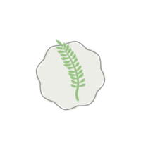 Aesthetic Leaf Organic Blobs Shape png