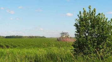 trator agrícola trabalha no campo, verão. conceito de agronegócio e agricultura video