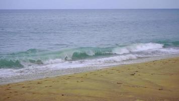 ondas rolando batendo na praia de nai yang, phuket tailândia video