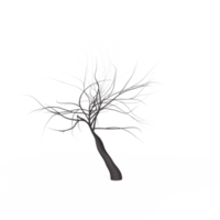 albero radici isolato su trasparente png