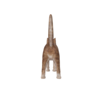 cat animal on transparent png