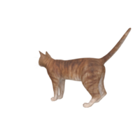 chat animal sur transparent png