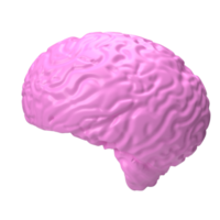 The pink brain png image