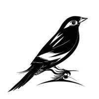 Black and White Sparrow vector