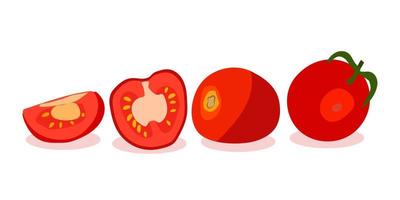 A set of red tomatoes. Vector illustration . Slice a tomato, slice a tomato. Cartoon vegetable set of elements isolated on a white background.