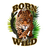 beeld van jaguar in de oerwoud. woest staren luipaard. geboren wild. illustratie van veel kleuren. Jachtluipaard in de oerwoud png