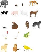 selección de vector de ilustración de animales salvajes