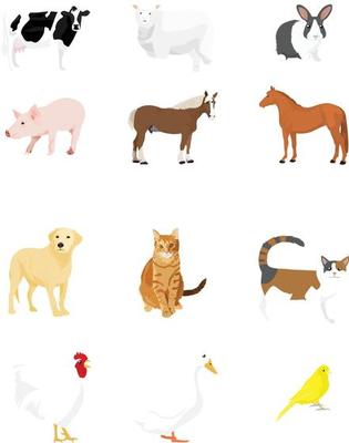 selection of pet domestic farm animals illustration vector