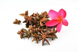 Chinese spice star anise fruit and pink flower isolated on white background Star aniseed Badian khatai photo