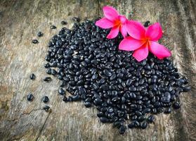 Pile of Black bean grain seeds and pink flower on rustic wood background photo