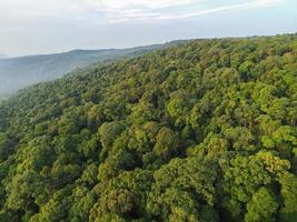 árbol forestal de vista superior aérea en Asia, ecosistema de selva tropical y concepto y fondo de ambiente saludable, textura de la vista del bosque de árboles verdes desde arriba foto