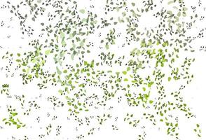 Light Green vector backdrop with abstract shapes.