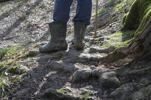 the legs of an adult dressed in travel boots are walking through a green forest. the concept of travel and hiking. photo