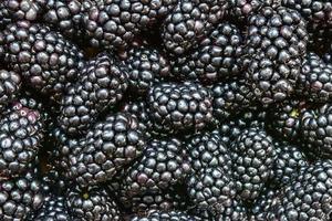 background from ripe blackberry. Food photo. Close up of berries. A pattern for further use. Design element photo