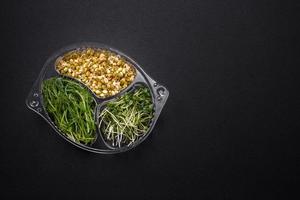 A set or mix of pea, mustard and sprouted mung bean microgreens in a portioned plastic box