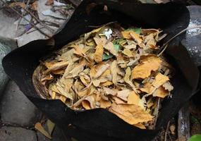 hojas secas usadas para hacer compost foto