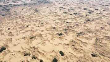 Aerial View of the Textures and Patterns of the Desert Sands. Beautiful landscape . Desert and green bushes photo