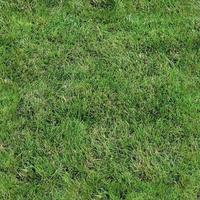 Photo realistic seamless grass texture in hires with more than 6 megapixel in size