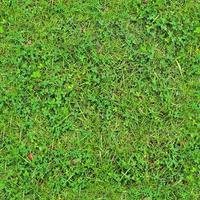 Photo realistic seamless grass texture in hires with more than 6 megapixel in size