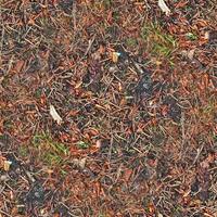 High resolution seamless texture of a forest ground with autumn leaves and nuts photo