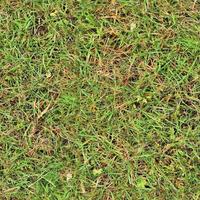 Photo realistic seamless grass texture in hires with more than 6 megapixel in size