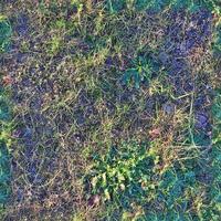 Photo realistic seamless grass texture in hires with more than 6 megapixel in size