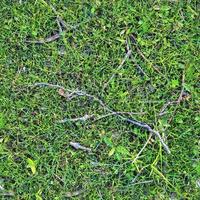 Photo realistic seamless grass texture in hires with more than 6 megapixel in size