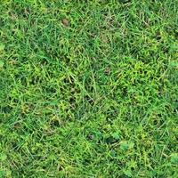 Photo realistic seamless grass texture in hires with more than 6 megapixel in size