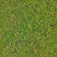 Photo realistic seamless grass texture in hires with more than 6 megapixel in size