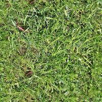 Photo realistic seamless grass texture in hires with more than 6 megapixel in size