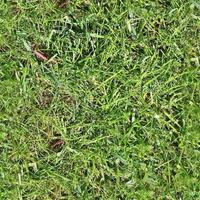 Photo realistic seamless grass texture in hires with more than 6 megapixel in size