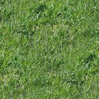 Photo realistic seamless grass texture in hires with more than 6 megapixel in size