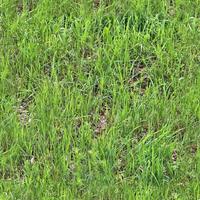 foto realista textura de hierba perfecta en contrataciones con más de 6 megapíxeles de tamaño