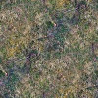 Photo realistic seamless grass texture in hires with more than 6 megapixel in size