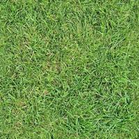 Photo realistic seamless grass texture in hires with more than 6 megapixel in size