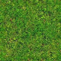 Photo realistic seamless grass texture in hires with more than 6 megapixel in size