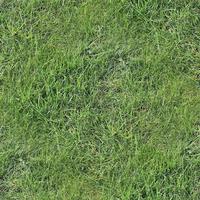 Photo realistic seamless grass texture in hires with more than 6 megapixel in size