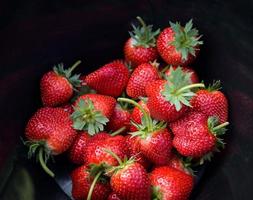 strawberry on black bucket, fresh ripe strawberry field harvest strawberries picking on tank fruit collected strawberry photo